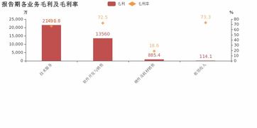 博思软件归母净利润增速56.1%创5年新高，技术服务业务成利润增长核心引擎